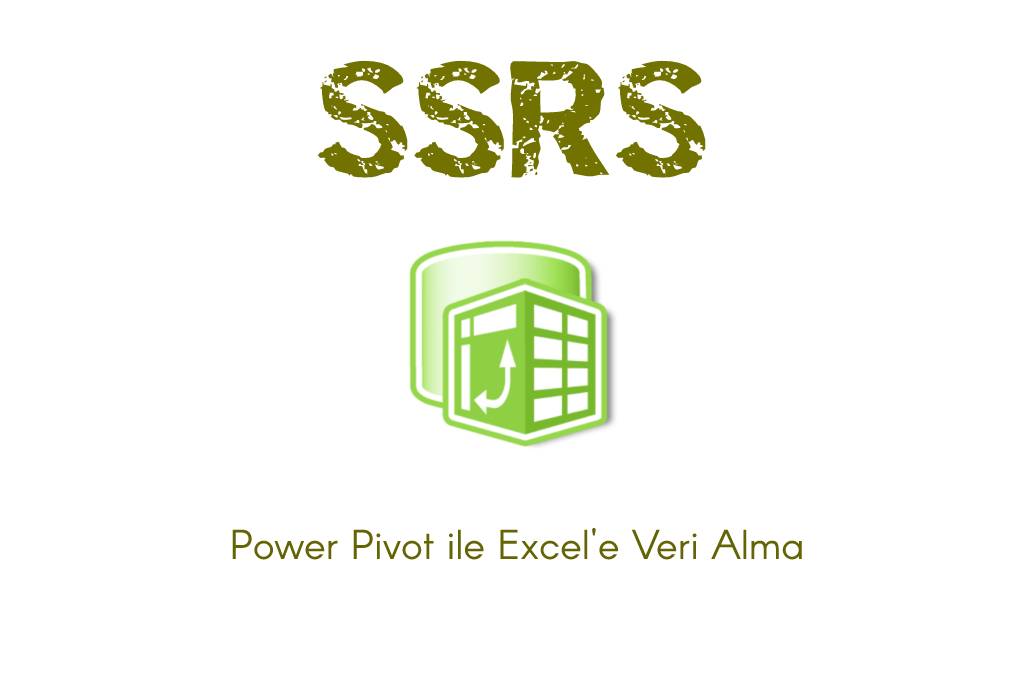SSRS’den Excel’e veri alma